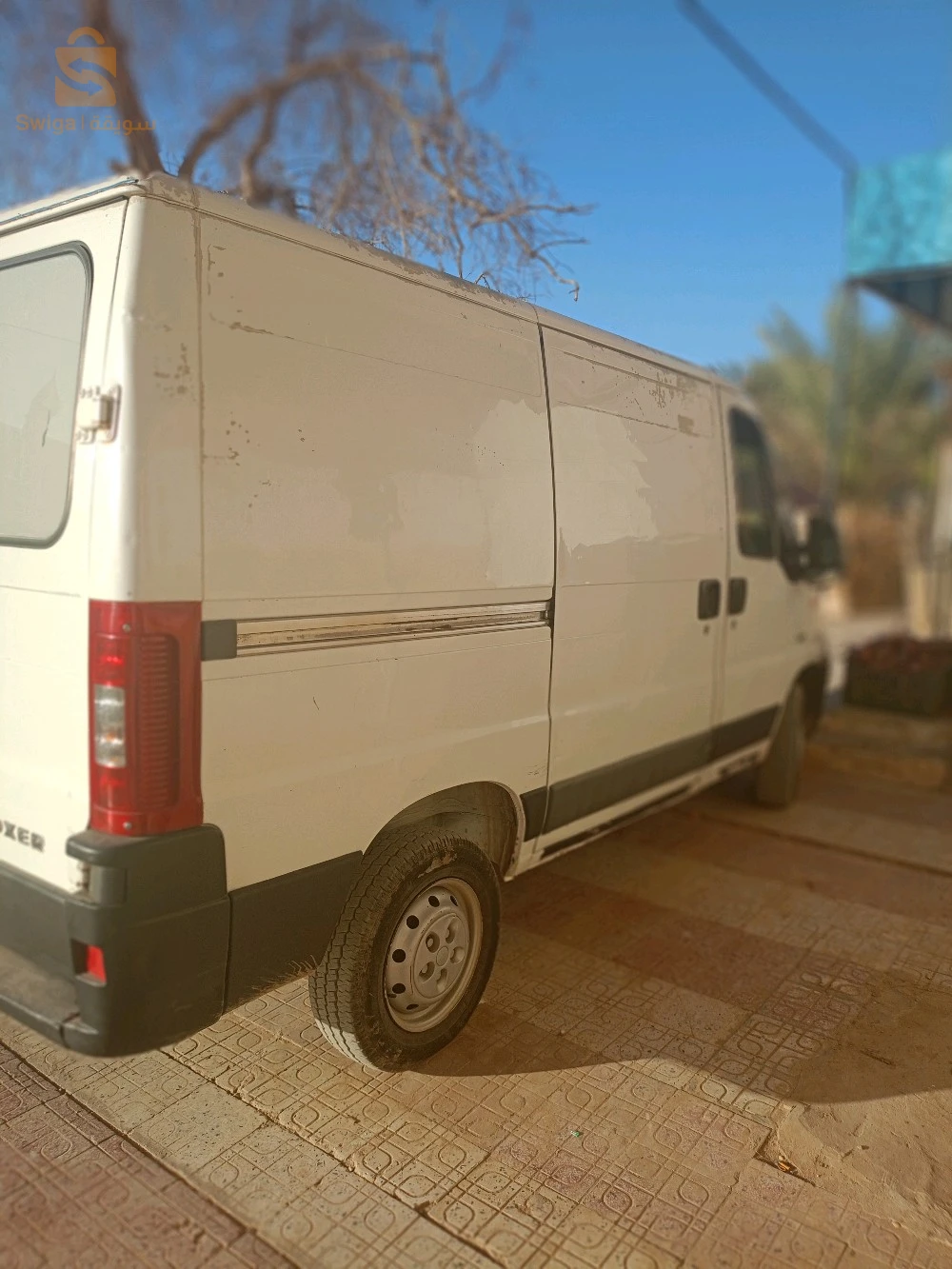 بشار