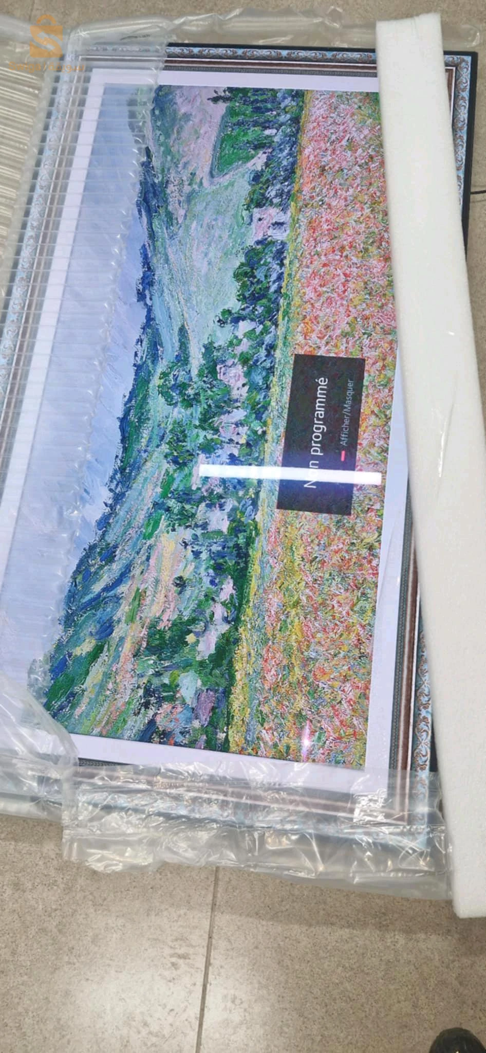 tv LG oled 65 " Europe