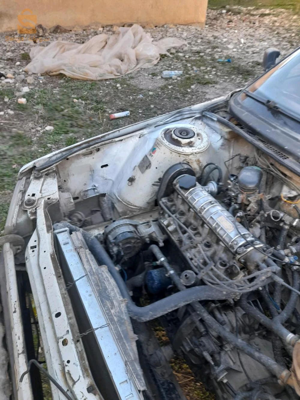 رينو R 21 1986 4 ام البواقي