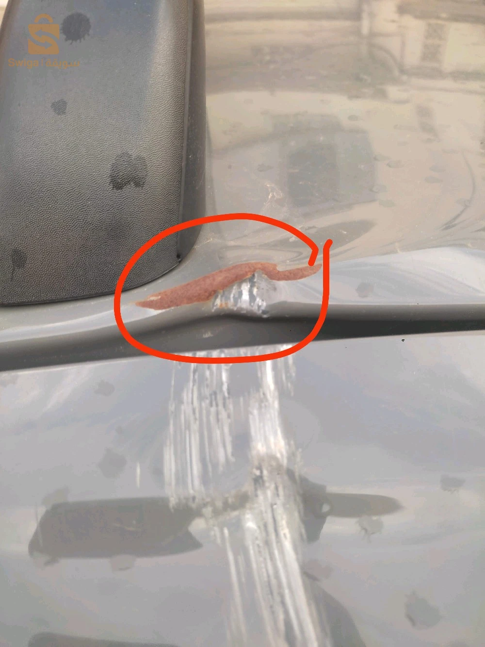 رينو Kangoo 2019 35 بومرداس