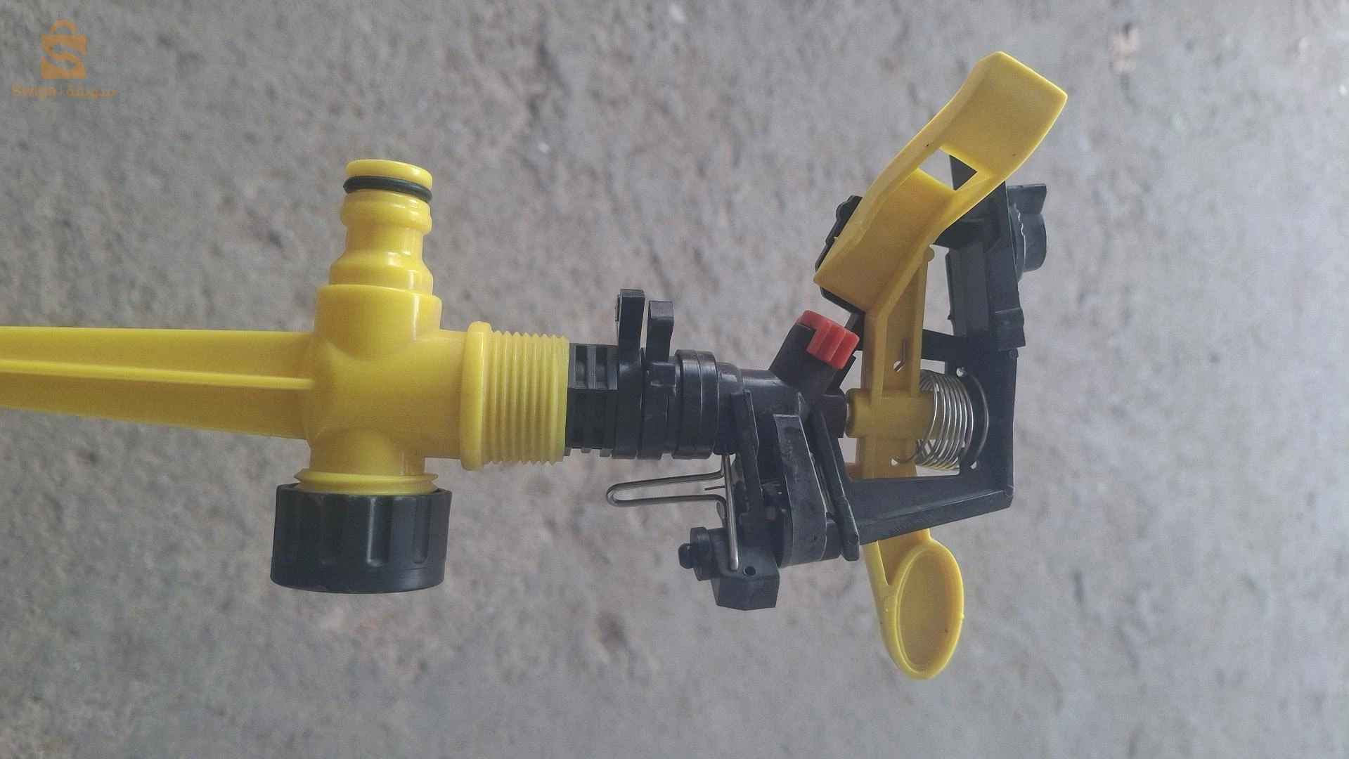 belhadriramadan1@gmail.com