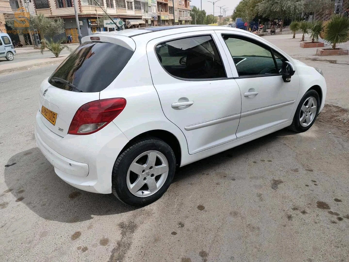 عين التوتة