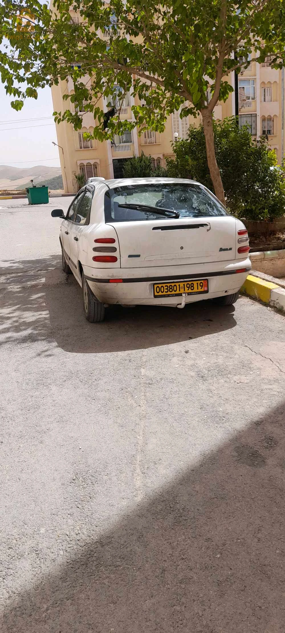 سطيف