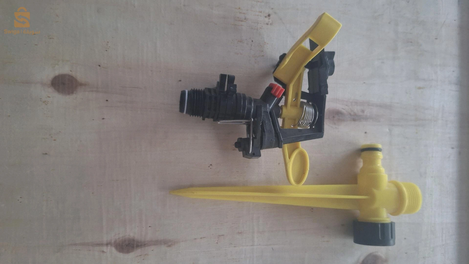 belhadriramadan1@gmail.com