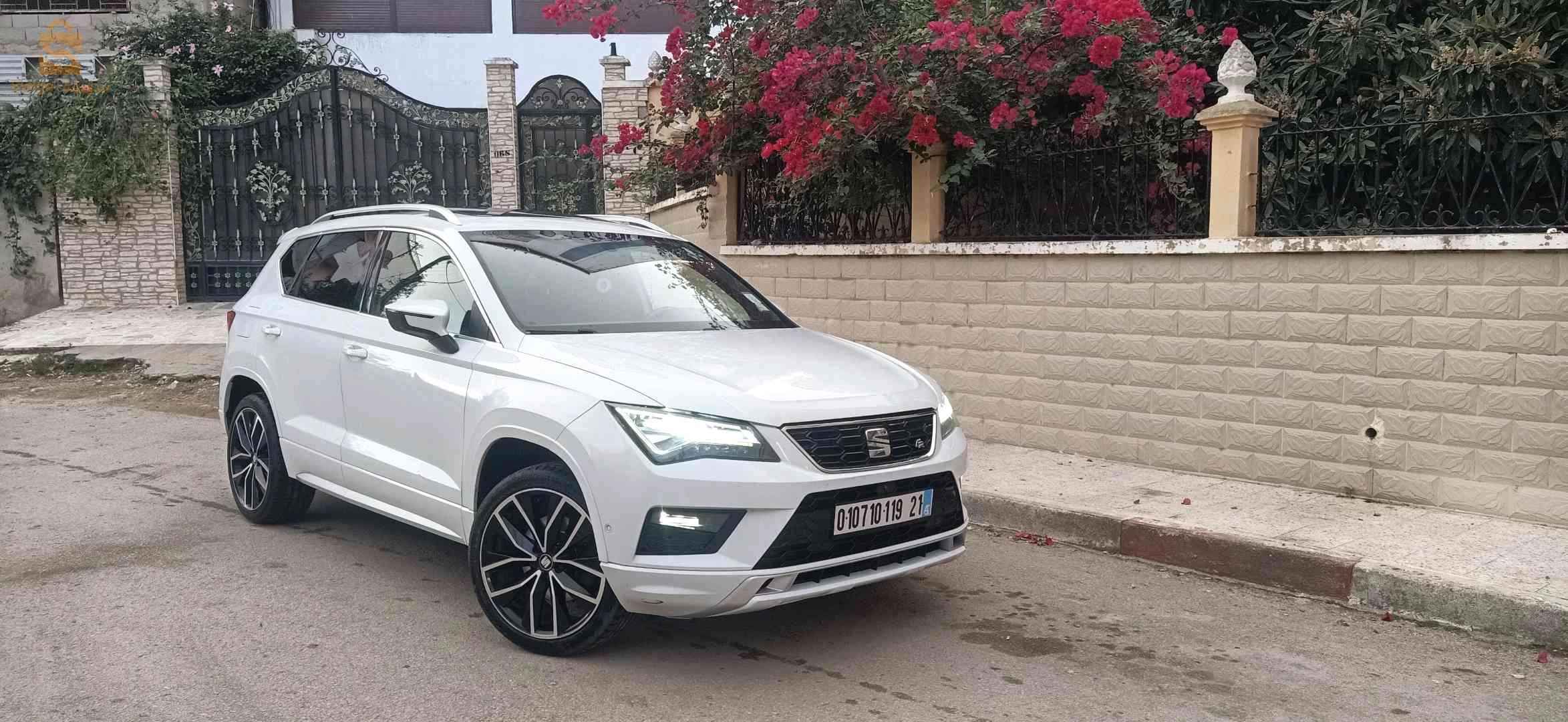 سيات Altea 2019 21 سكيكدة