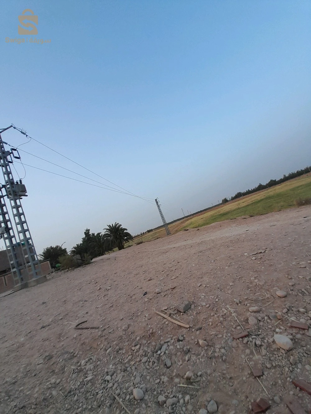 سلام عليكم 
اعلان عن بيع قطعة ارض فلاحية بعقد ملكية تبتعد عن طريق ولائي اولاد جلال ليوة.. بسكرة حوالي 1000 متر بمنطقة ذراع رمل بلدية دوسن 
_ مساحة فارغة 8 هكتارات 
مساحة مغروسة 👇
_ توجد فيها حوالي 250 نخلة تقطع (واجدة) 
_ توجد فيها حوالي 270 جبارة يترواح عمرها مابين عامين ونصف الى ثلاثة 
_توجد فيها كهرباء 
_يوجد فيها بئر ارتوازي عمق 100 متر
_ يوجد فيها بئر اخر (فوراج اناب) عمق 480 متر 
_يوجد فيها منزلين منزل جاهز و اخرى غير جاهزة 
مهتم يتصل 0553089411
_ لا ارد على تعليق من فضلكم