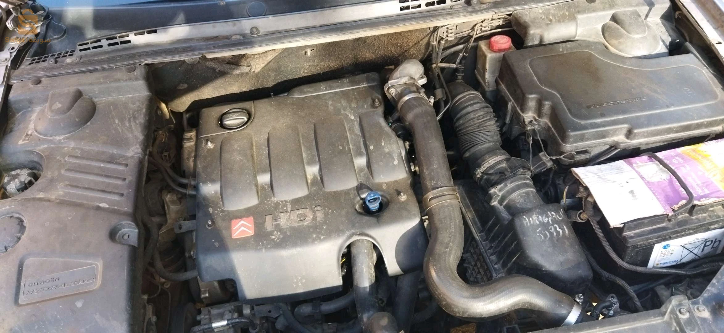 ستروين C5 2002 42 تيبازة