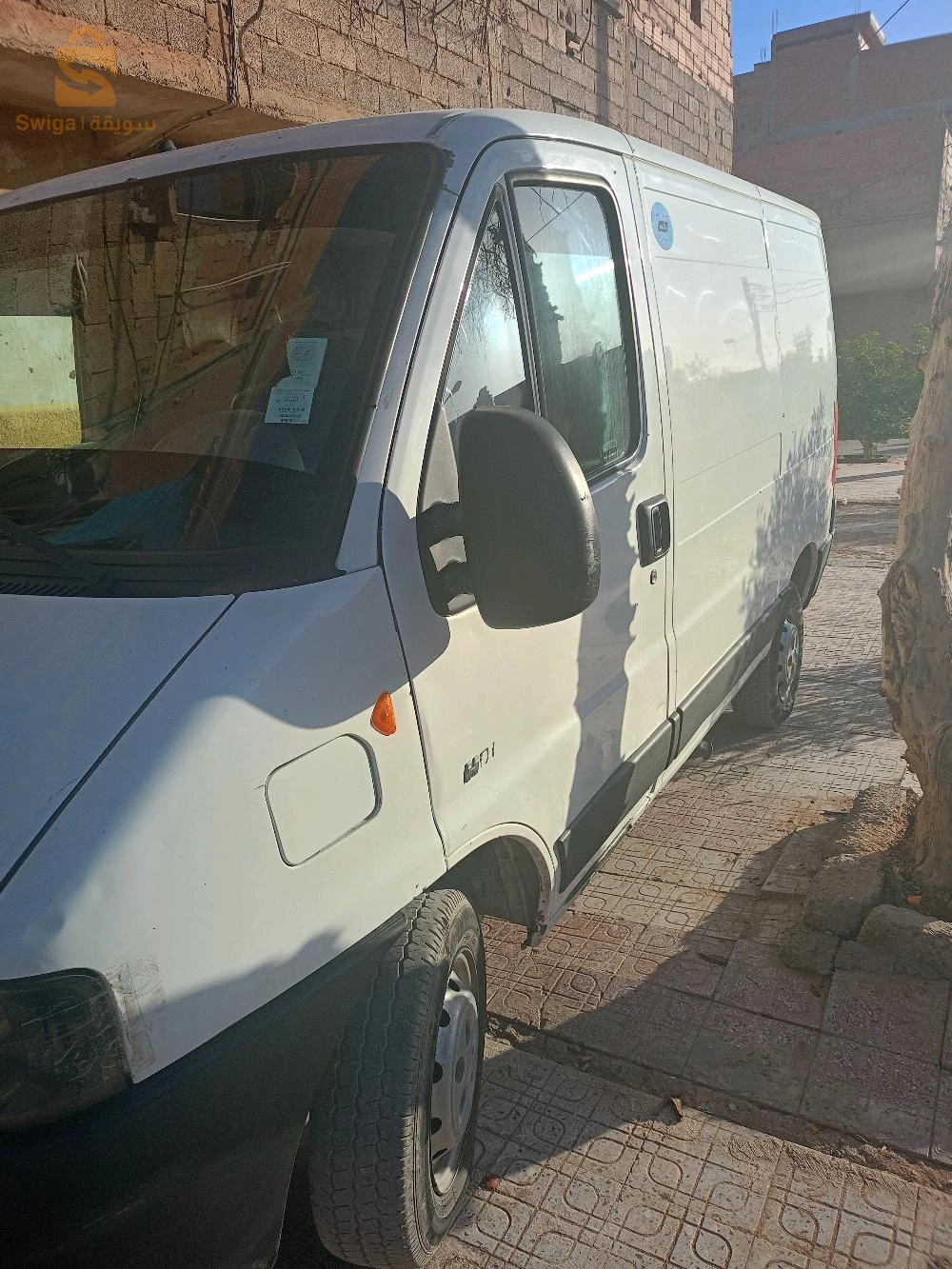 بشار