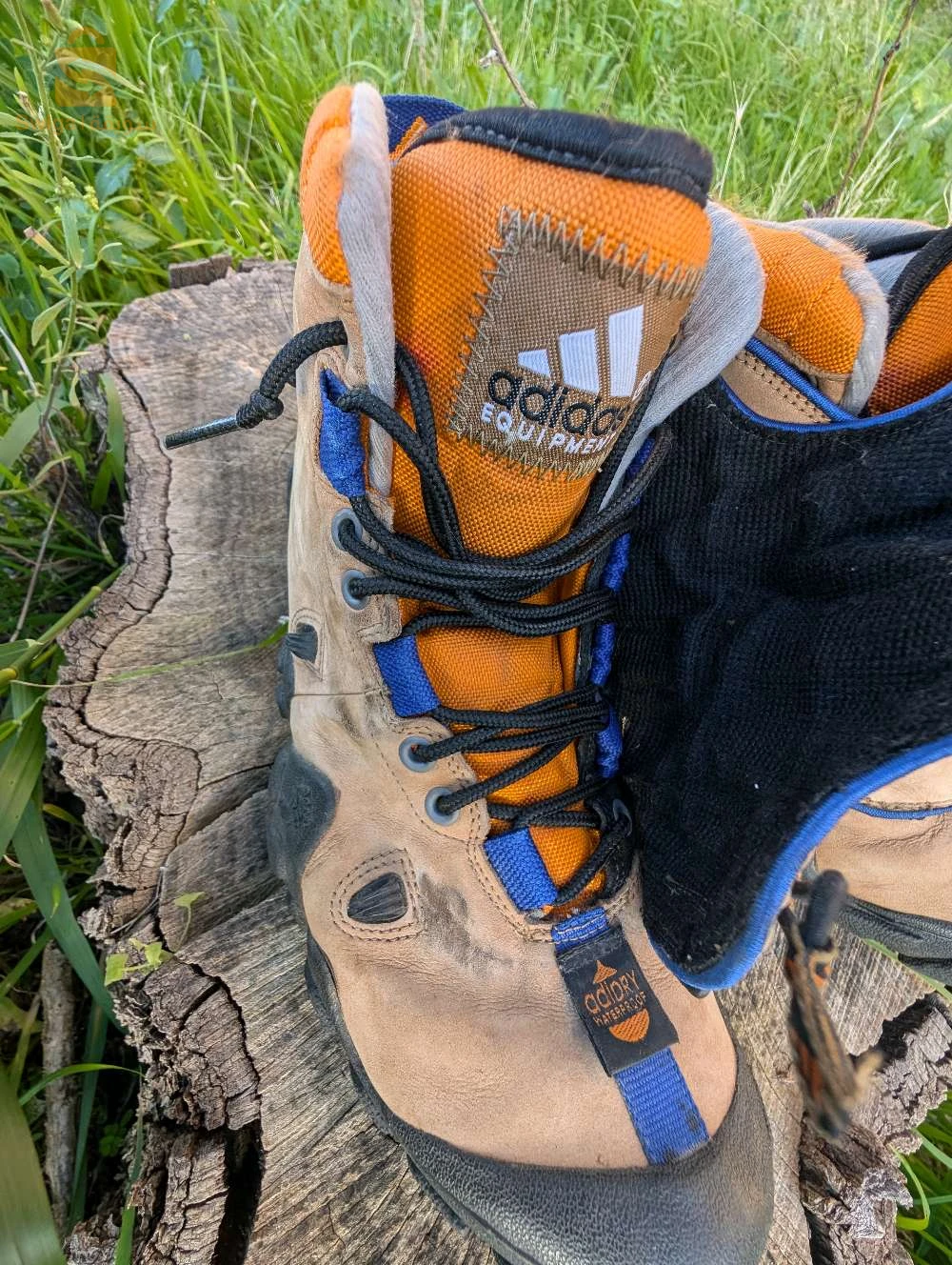 سلعة انجليزية حرة - Camping Adidas radlander EQT pantone IE6124-