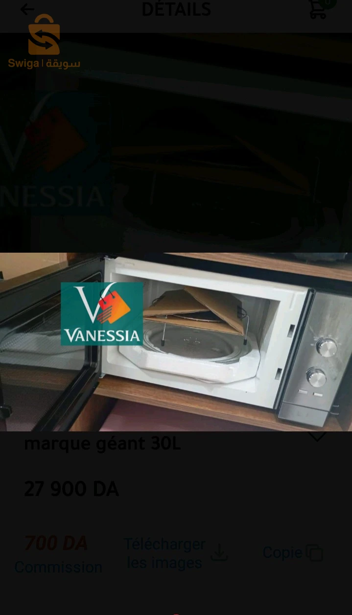 micro onde et four 2en1 marque géant