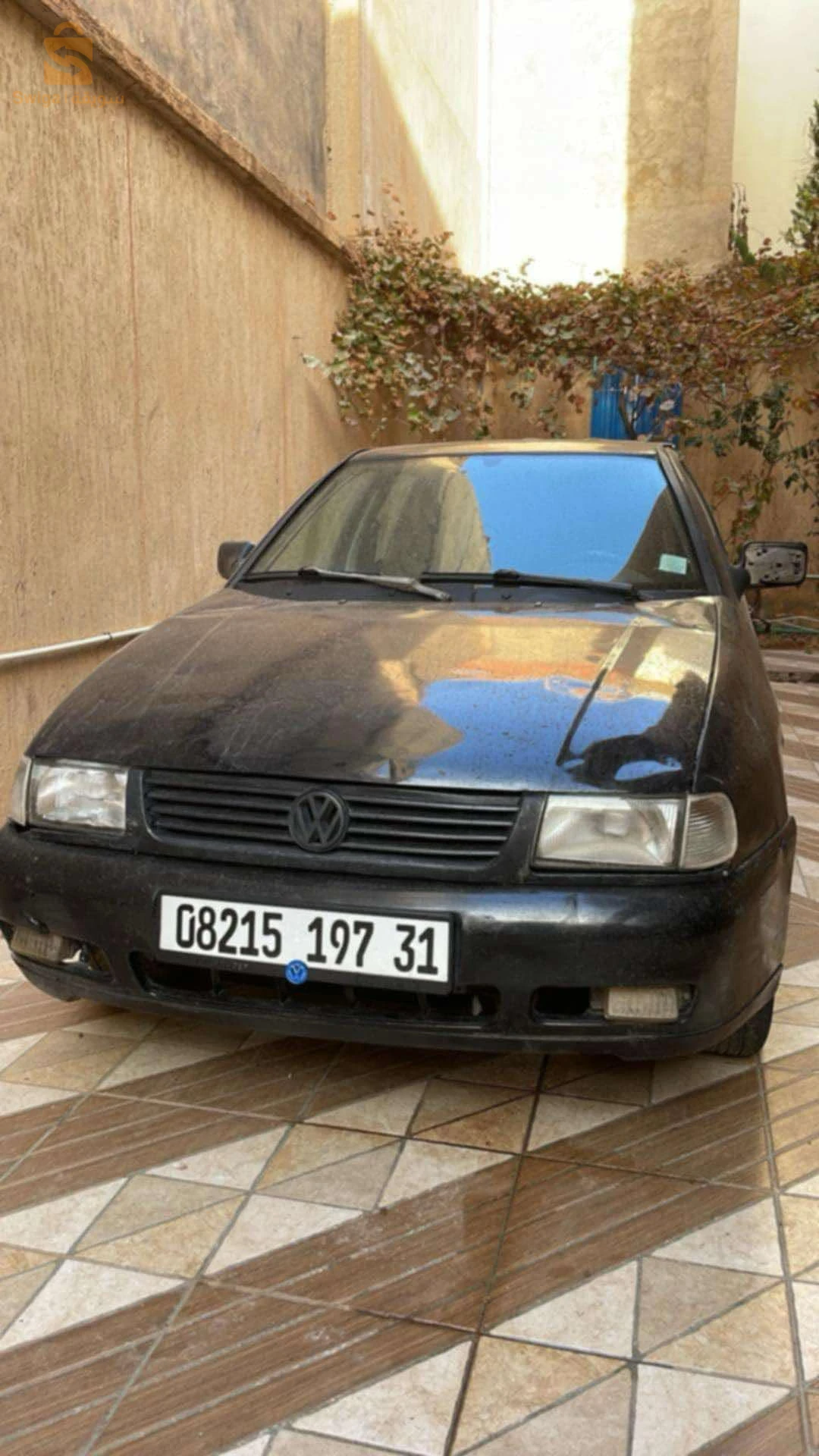 بيجو 1997 31 وهران