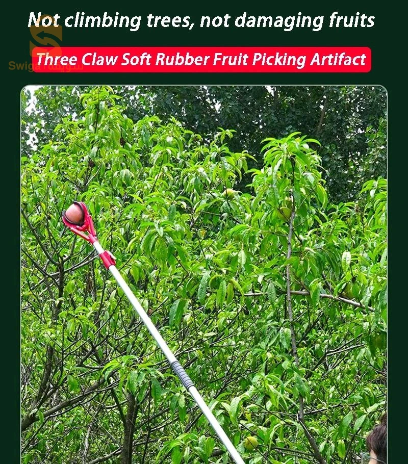 عصا التقاط الفواكه