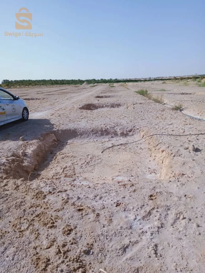 ارض فلاحية بالليوة منطقة الزرقة