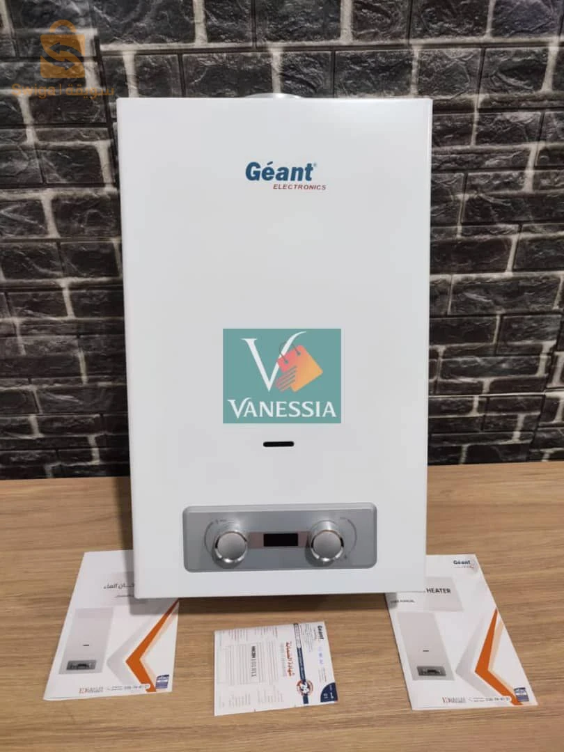 chauffe bain de la marque géant 10L