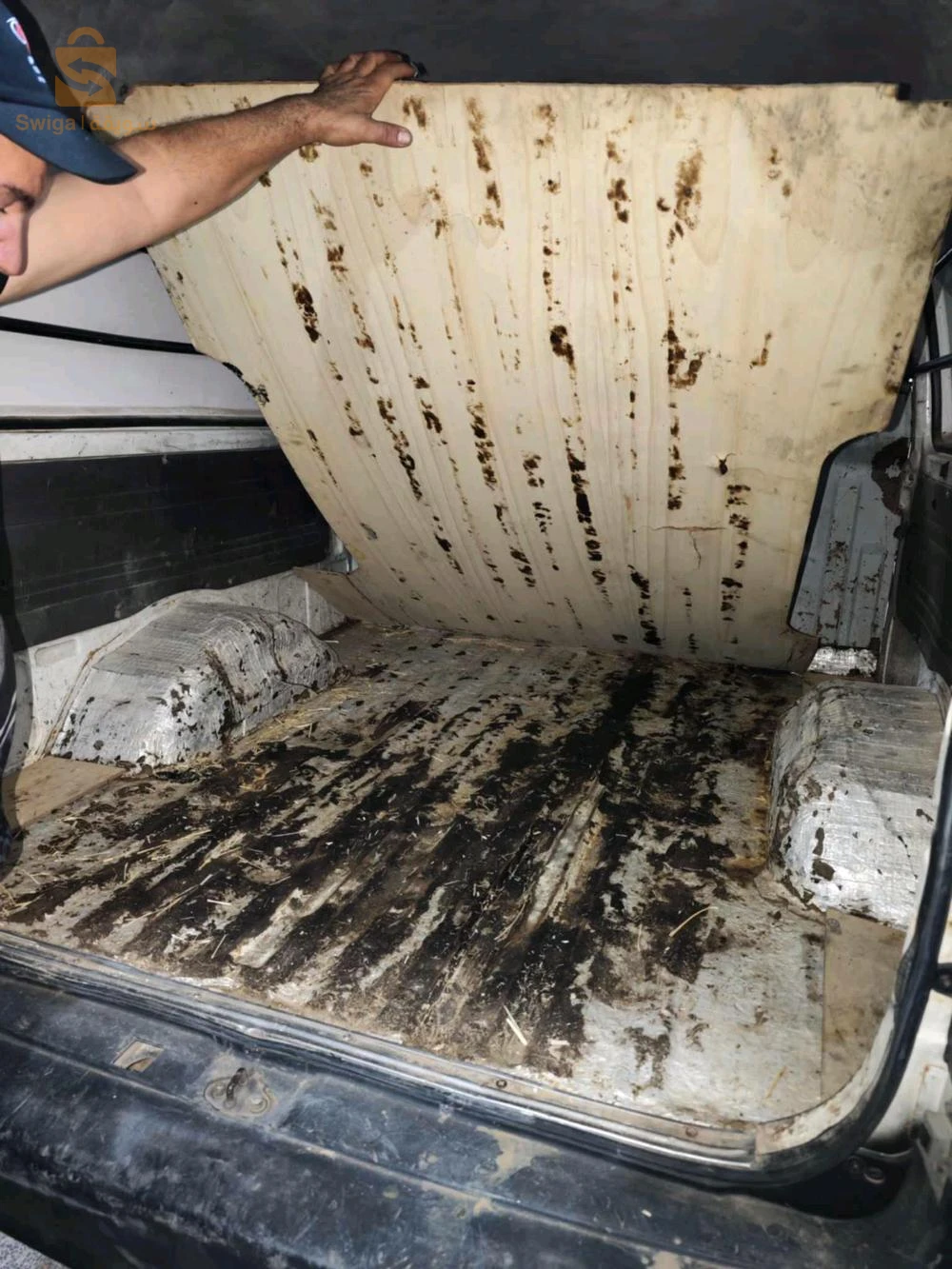 كيا Borrego 2003 32 البيض