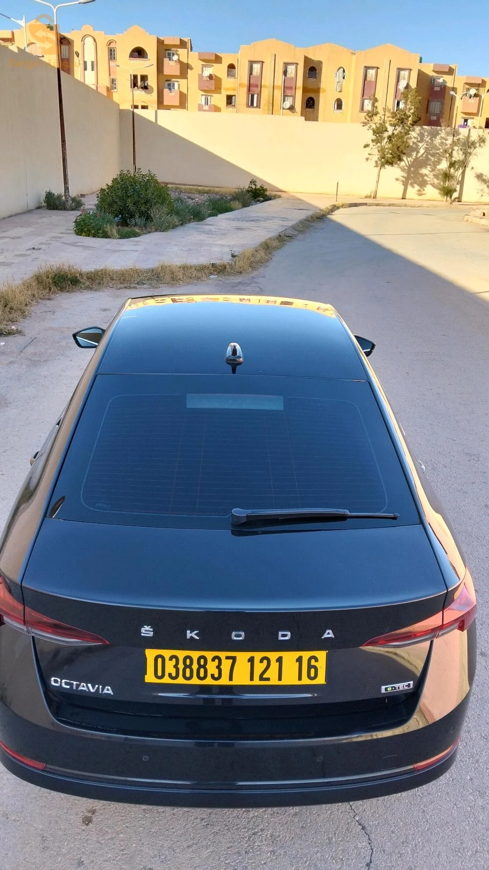 سكودا Octavia 2021 3 الاغواط