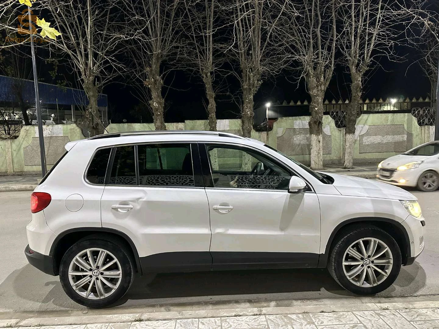 فولكس واجن Tiguan 2011 19 سطيف