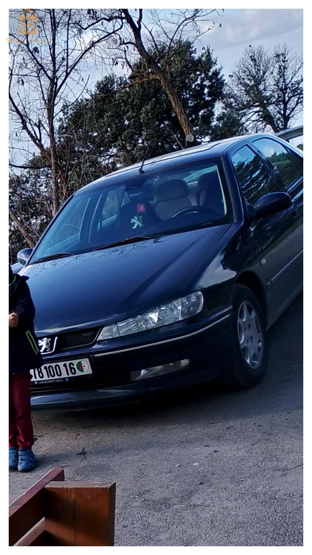 Peugeot 406 2000 16 ALGER