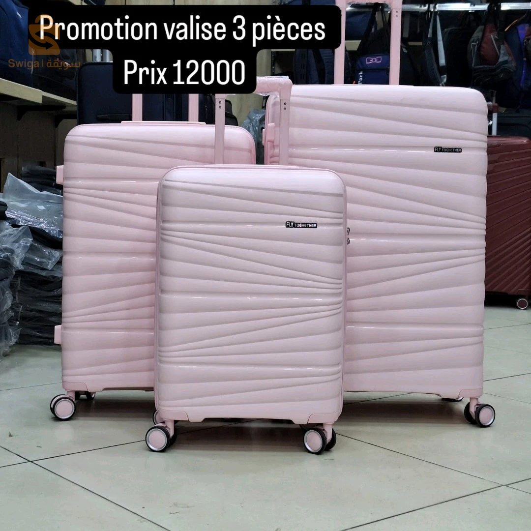 valise