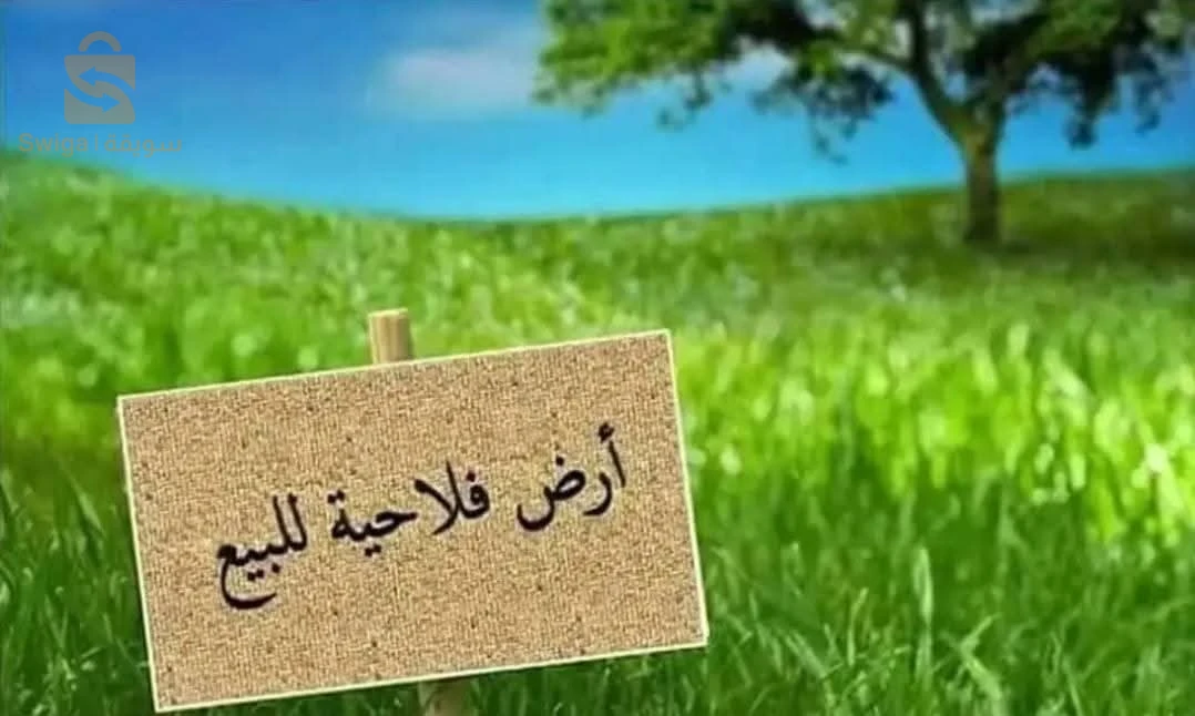 قطعة ارض فلاحية للبيع