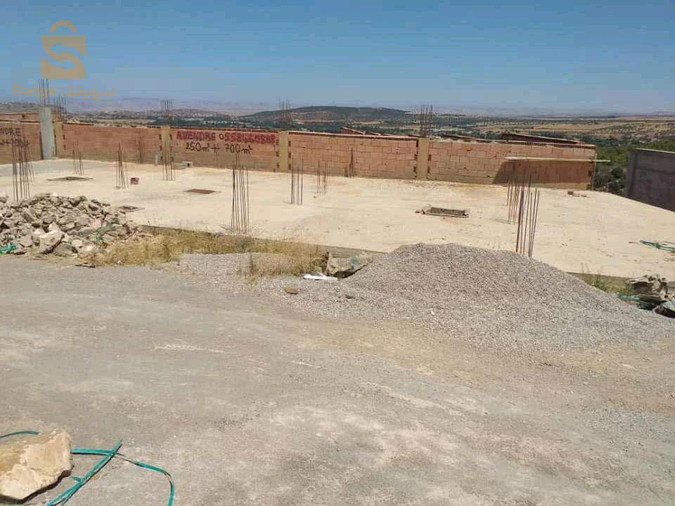 طريق الوريط تلمسان