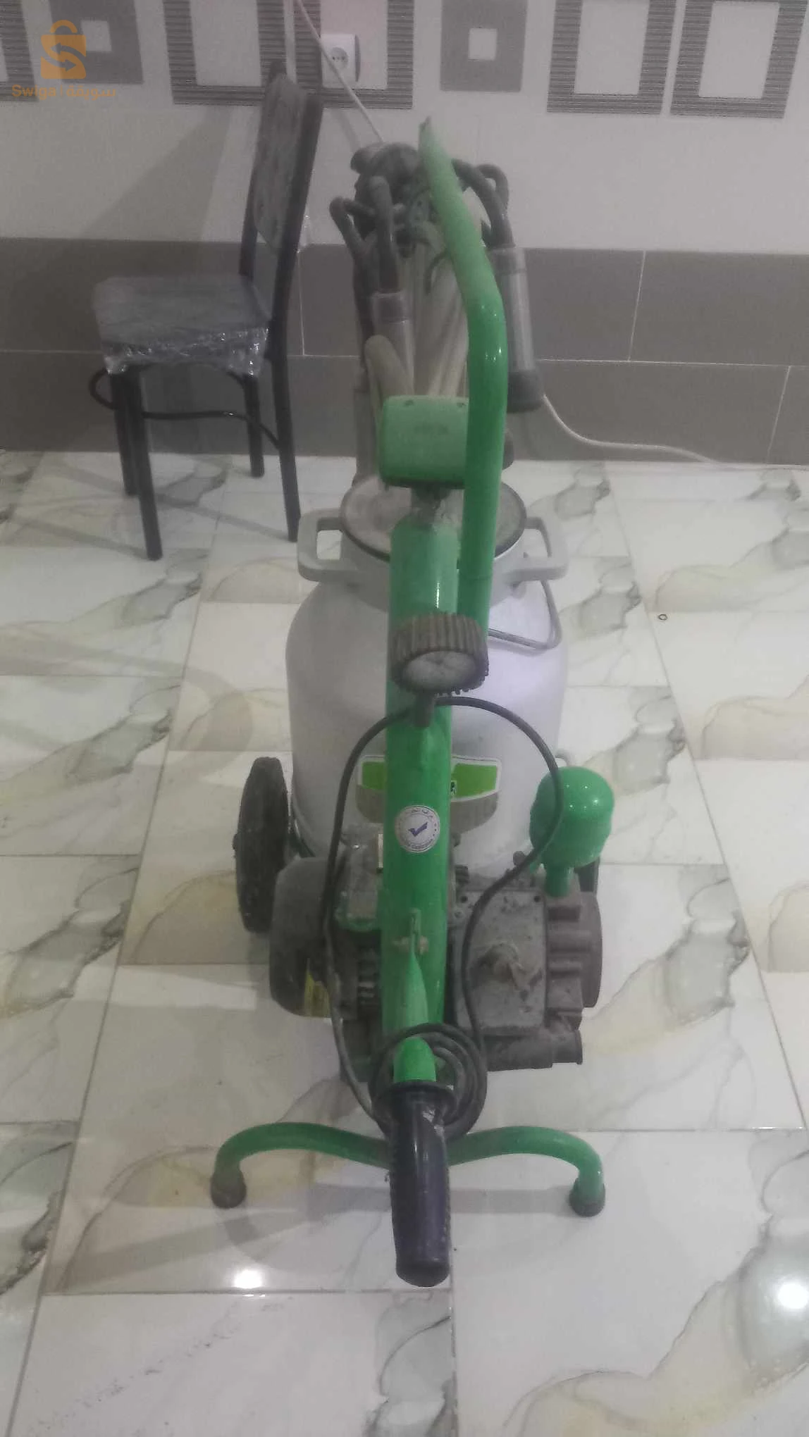 حلابة بقر