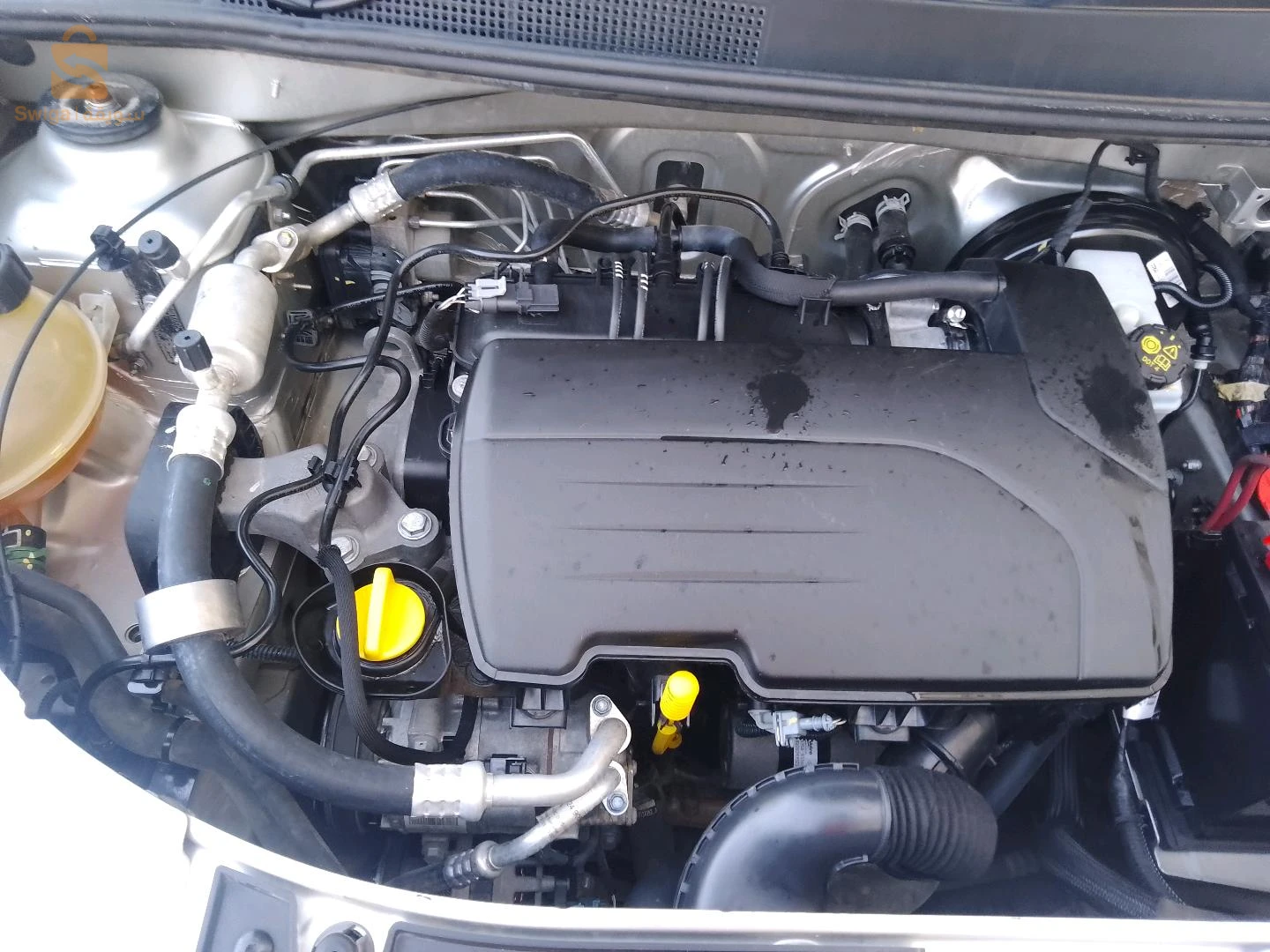 Renault 2019 23 ANNABA