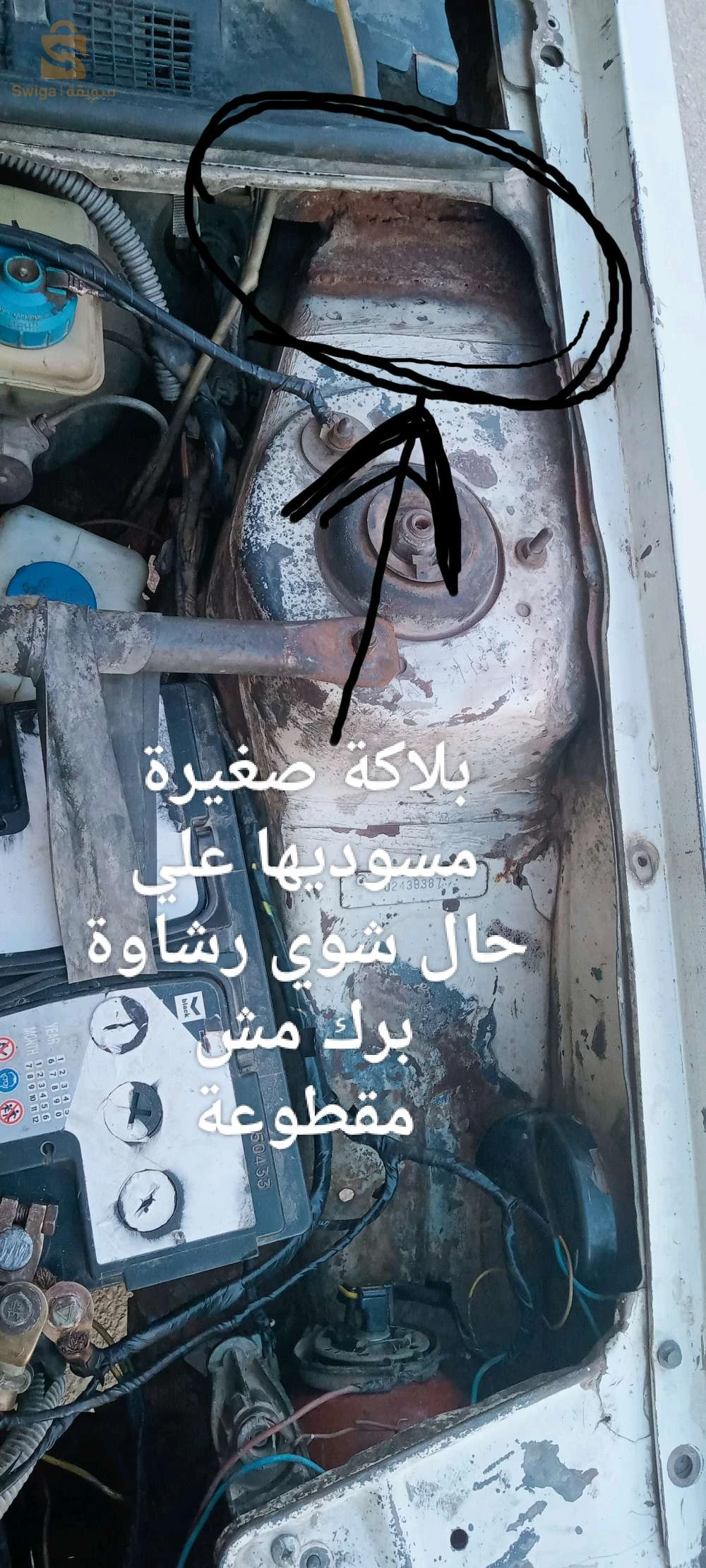 بيجو 309 48 غليزان