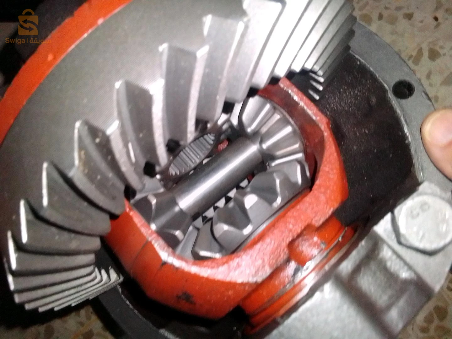 بو تع شانا 7بلاص للبيع ماشي ماشيا قاع مكان تيبازة بوسماعيل