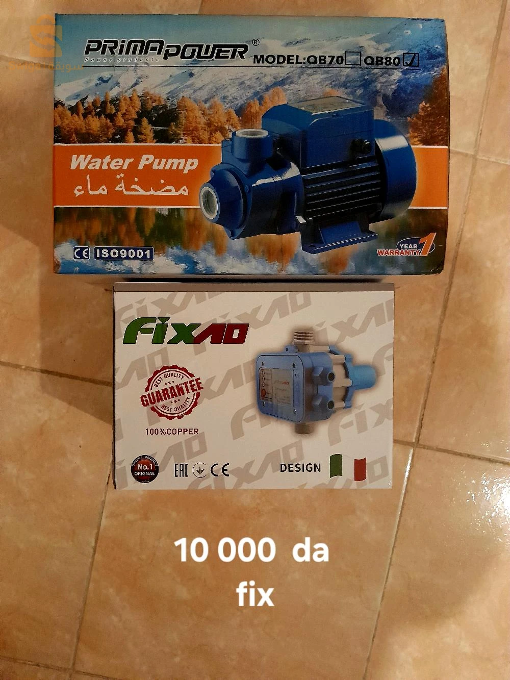 pompe d'eau +cerveau