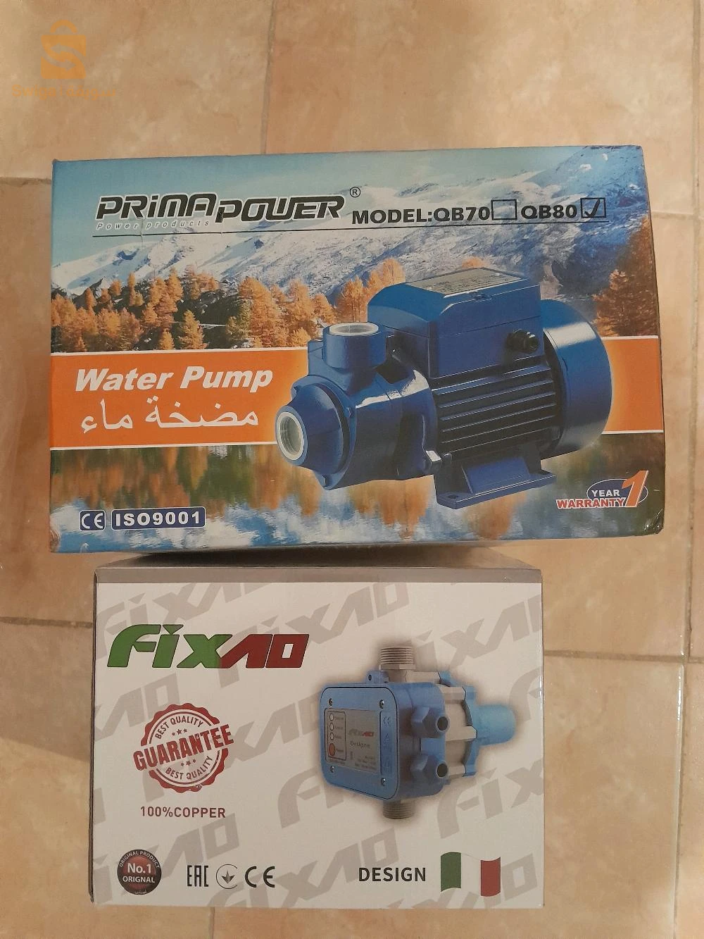 pompe d'eau +cerveau
