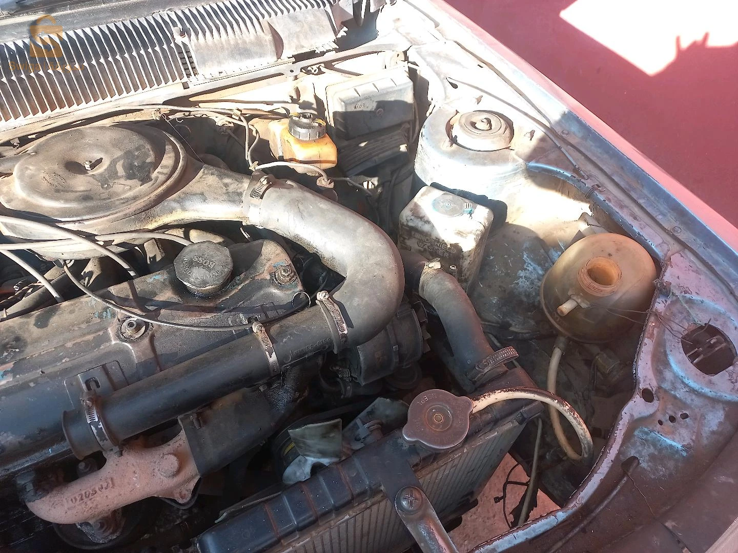 بيجو 305 1984 46 عين تموشنت