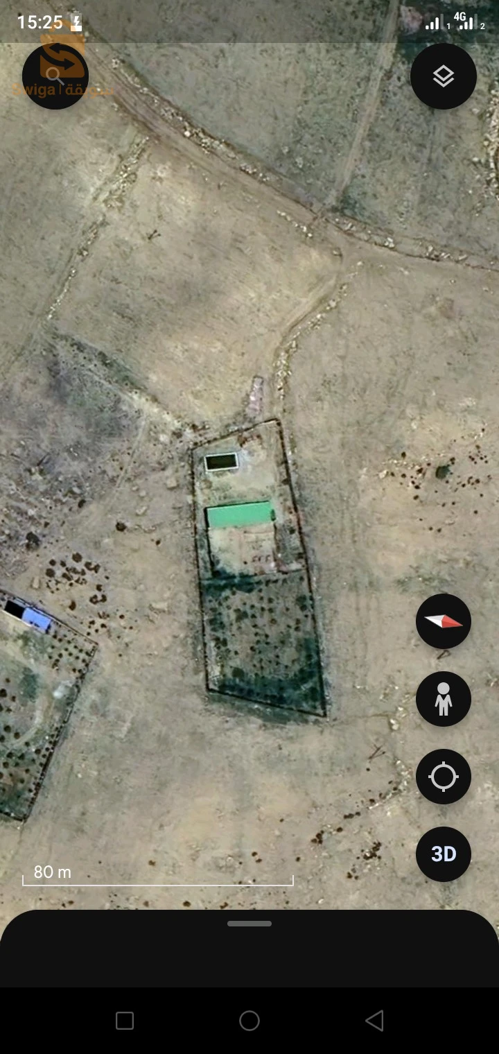 تربية المواش