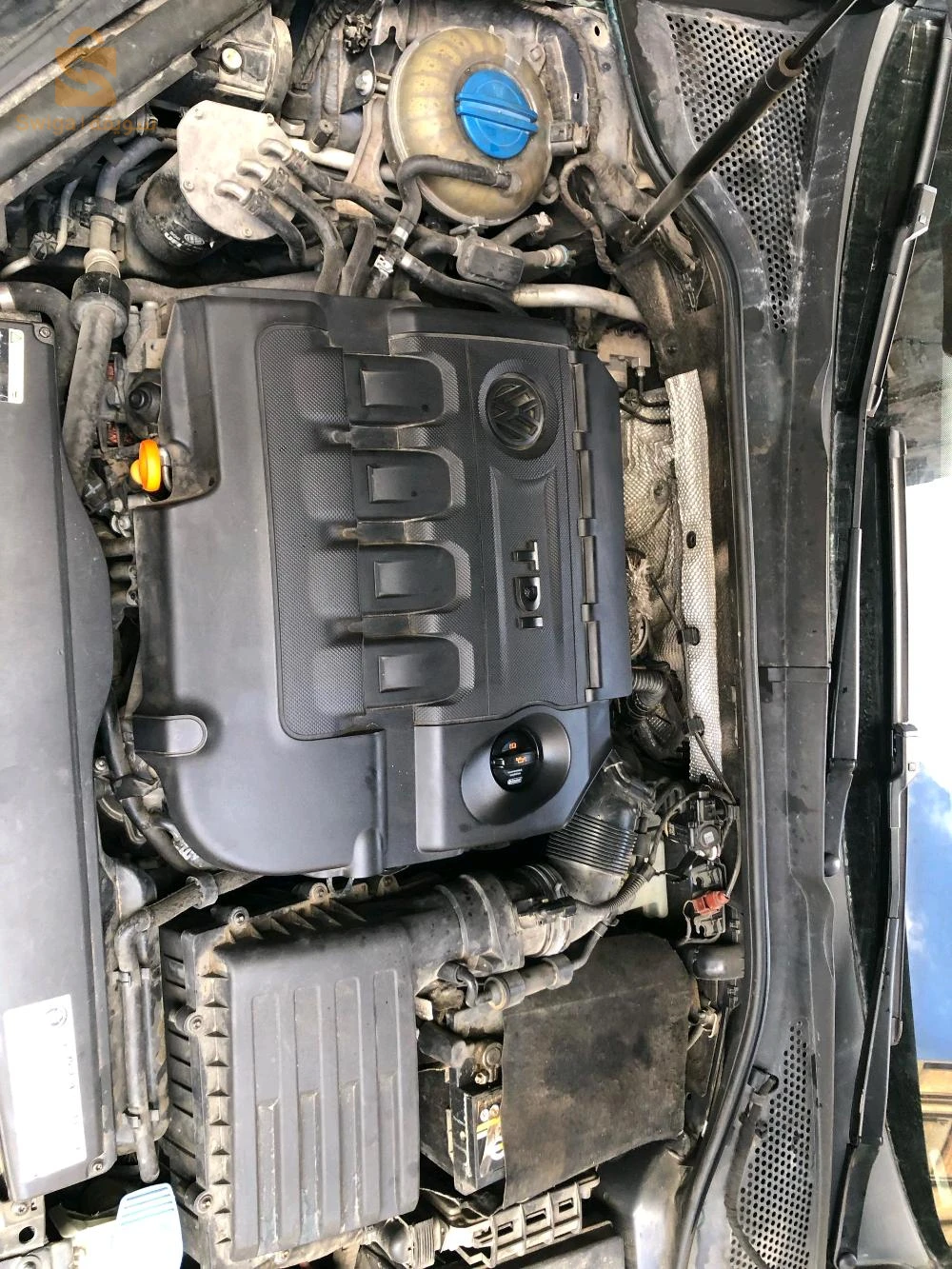 Volkswagen Golf 2013 34 BORDJ BOU ARRERIDJ