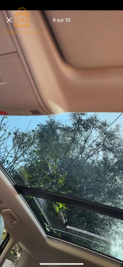 فولكس واجن 2022 21 سكيكدة