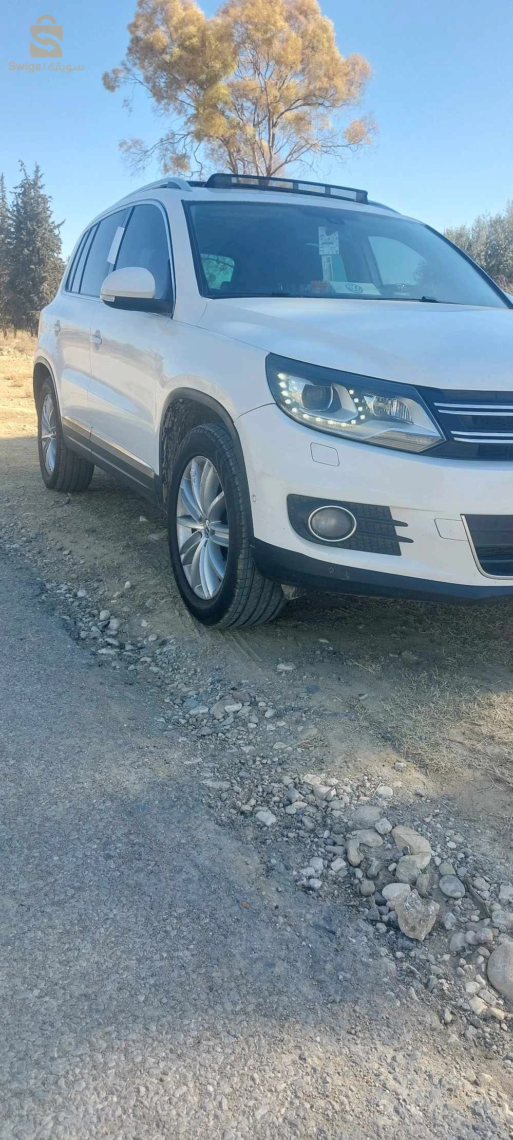 فولكس واجن Tiguan 2013 7 بسكرة