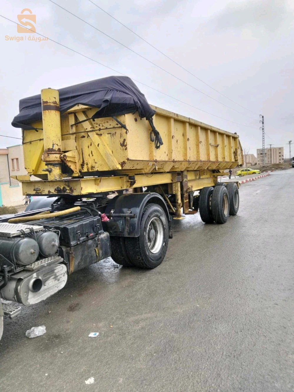 بانة خطيفة فوريوف للبيع