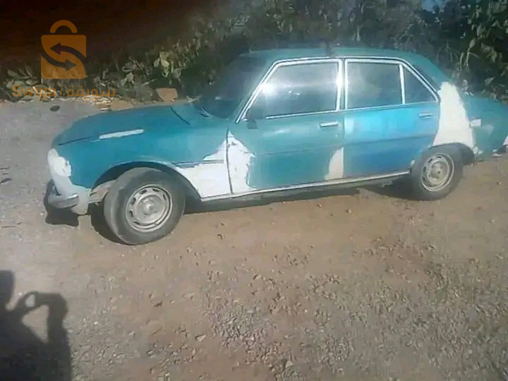 بيجو 504 1976 26 المدية