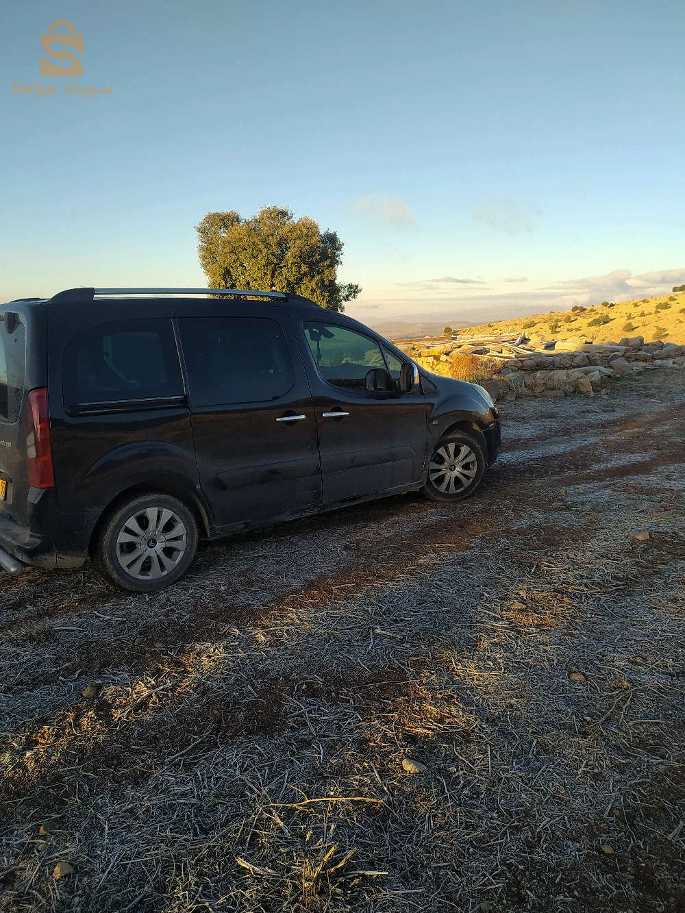 ستروين 2009 5 باتنة