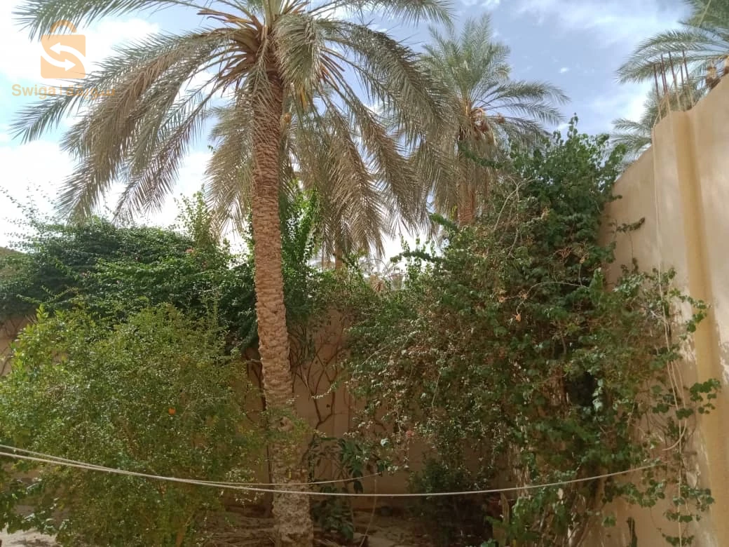طابق فيلا للبيع