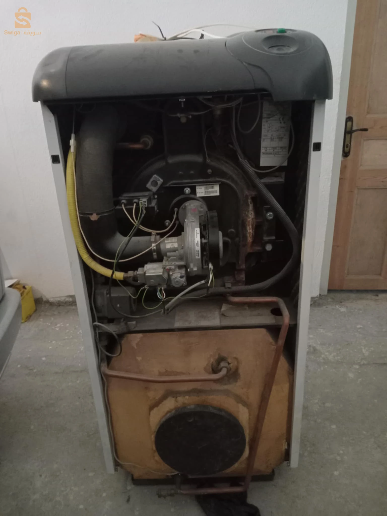 شوديار شابيي