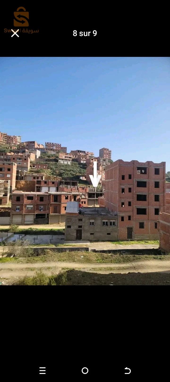 حمزة
