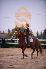 ملابس خاصة بالفروسية للأطفال