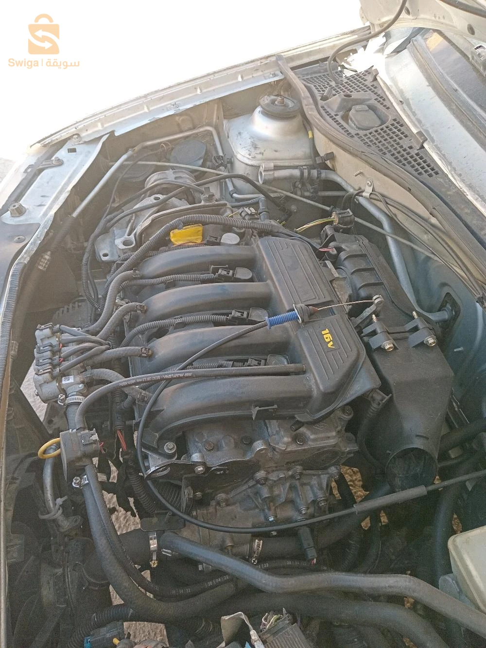 رينو Laguna 2007 28 المسيلة