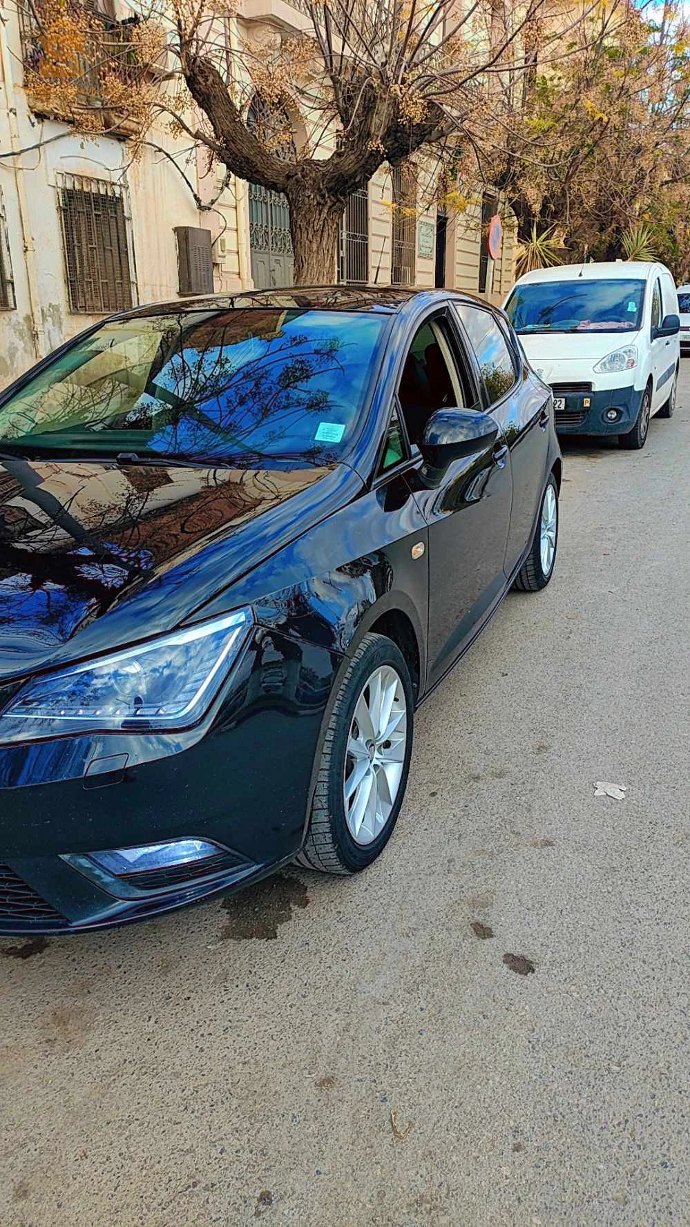 سيات Ibiza 2014 46 عين تموشنت