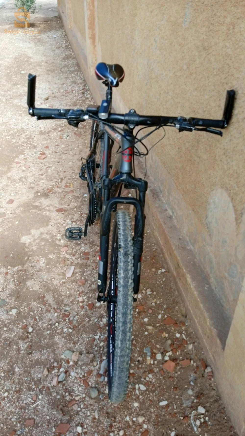 MOMA GTT 27.5