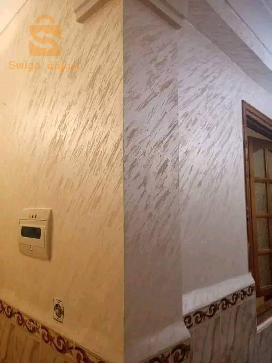 طلاء المنازل
