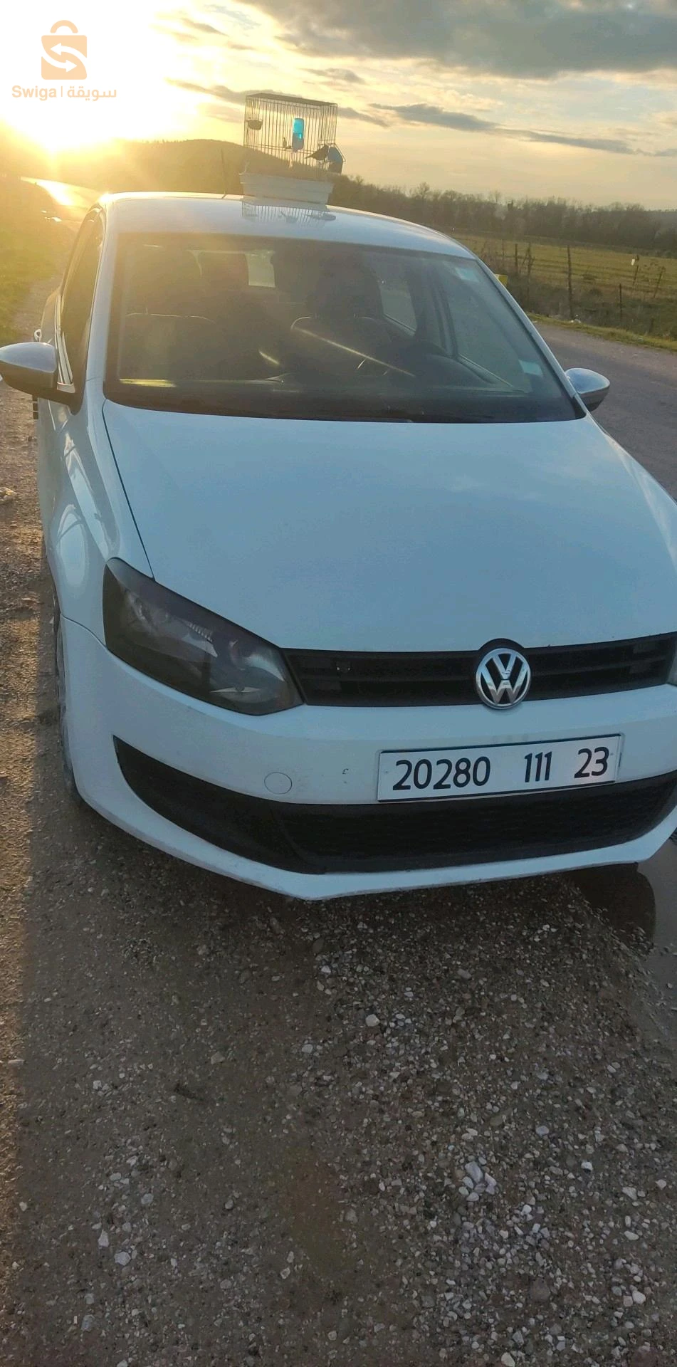 فولكس واجن Polo 2011 36 الطارف