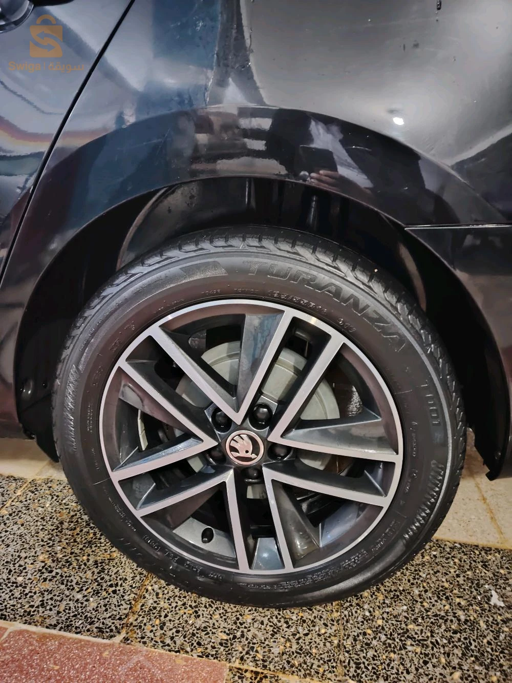 سكودا Rapid 2019 44 عين الدفلى