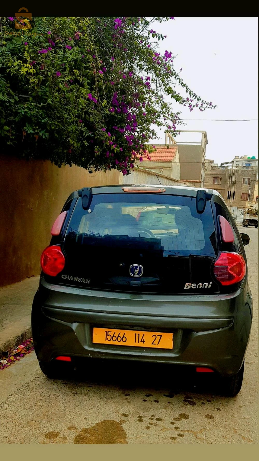 ميني MINI 2014 27 مستغانم